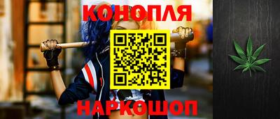 шишки Гагарин