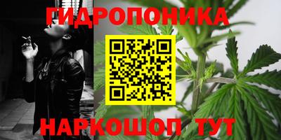 шишки Гагарин