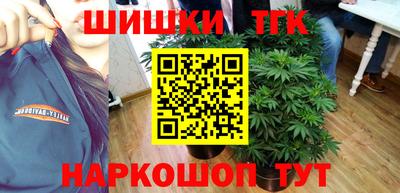 шишки Гагарин