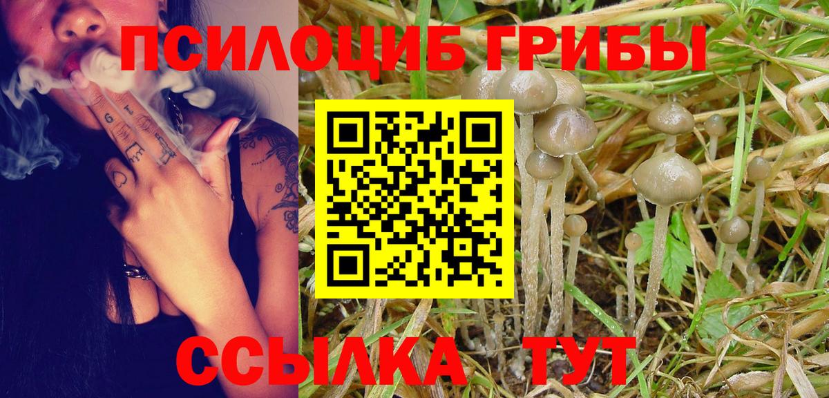 Назрань  Галлюциногенные грибы Psilocybine cubensis  Вход с VPN  Галлюциногенные грибы MAGIC MUSHROOMS 