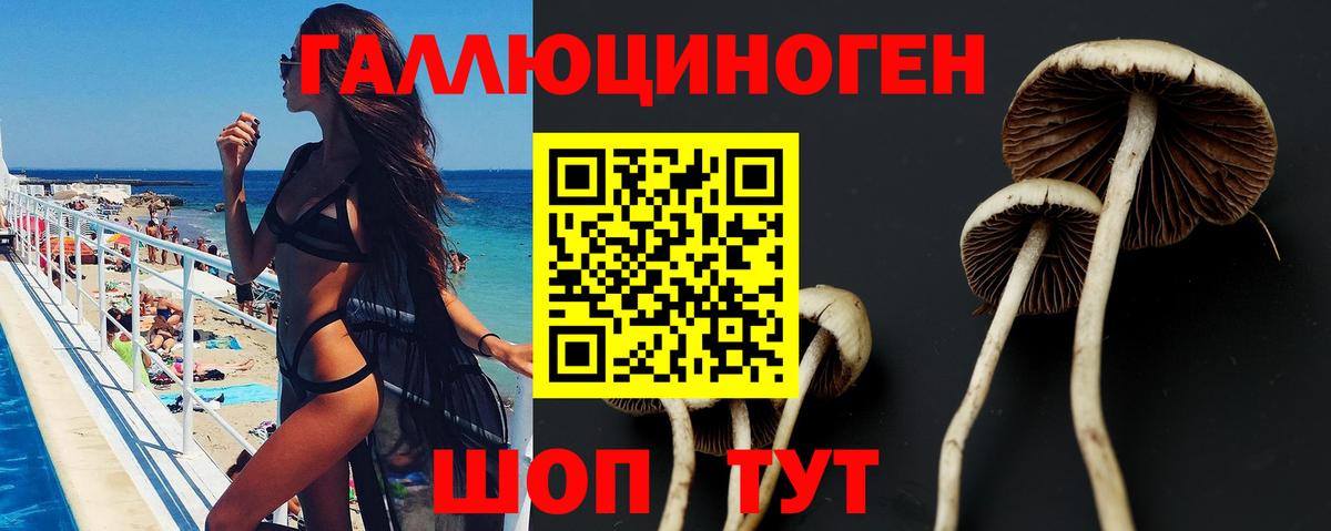 Псилоцибиновые грибы Psilocybe Назрань